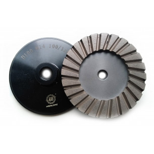 Фреза Торцевая Алмазная 100 мм WanLong (100/120)